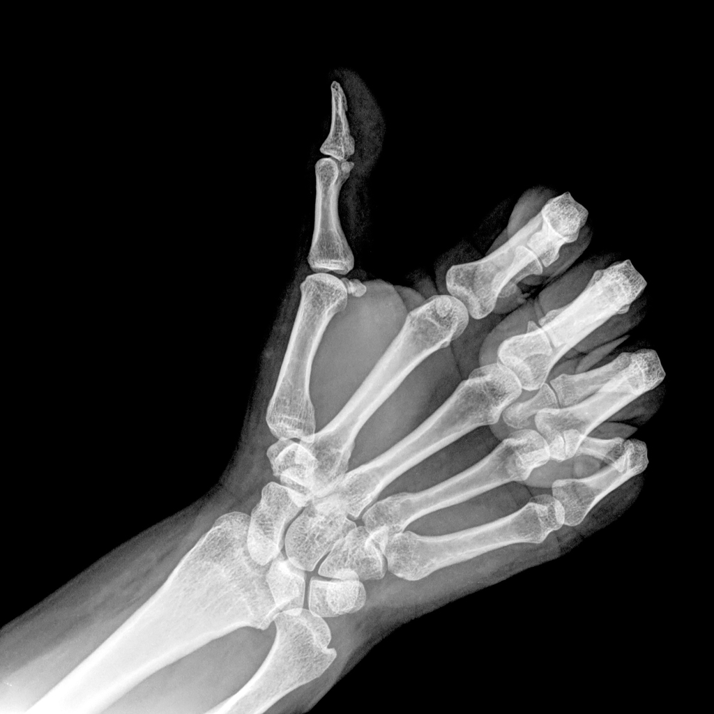 Radiology viewer